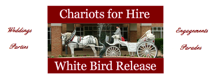 Get Hitched with CFH