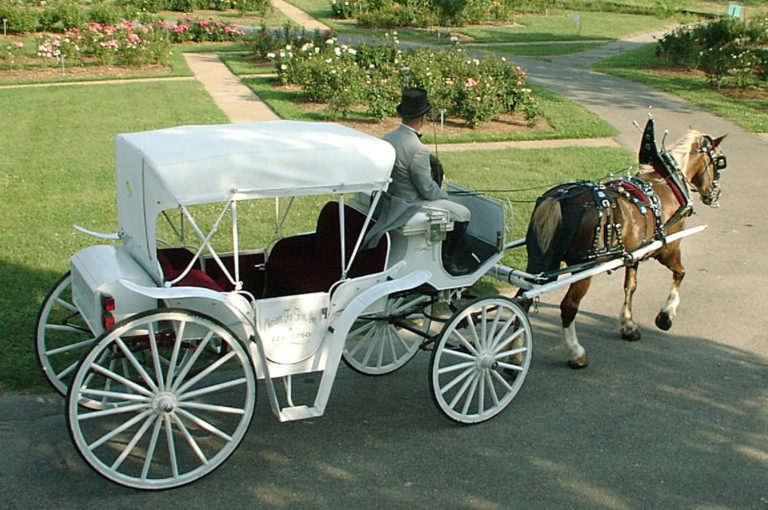 Home - Chariots for Hire - Hampton Roads Carriage and Funeral Service