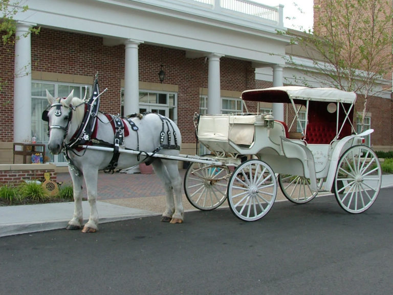 Services - Chariots for Hire - Hampton Roads Carriage and Funeral Service