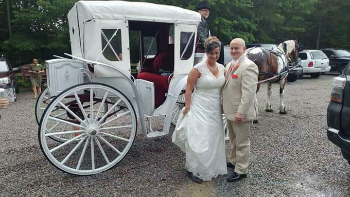 horse drawn carriage
